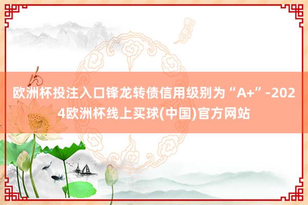 欧洲杯投注入口锋龙转债信用级别为“A+”-2024欧洲杯线上买球(中国)官方网站