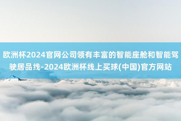 欧洲杯2024官网公司领有丰富的智能座舱和智能驾驶居品线-2024欧洲杯线上买球(中国)官方网站