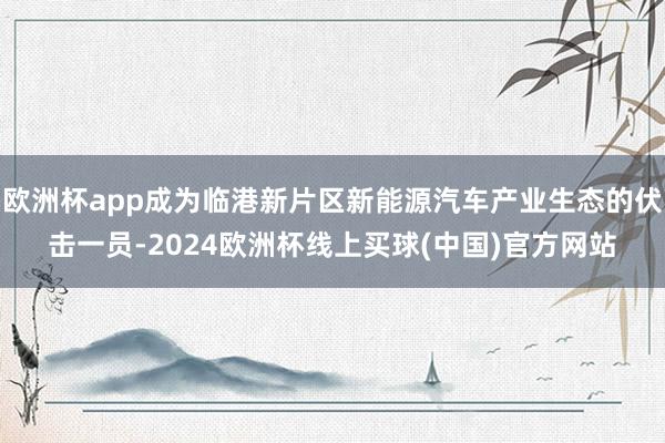 欧洲杯app成为临港新片区新能源汽车产业生态的伏击一员-2024欧洲杯线上买球(中国)官方网站